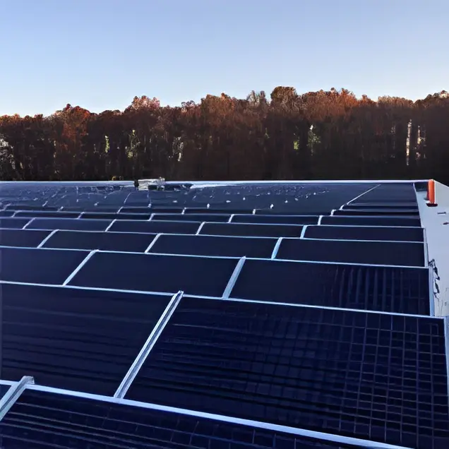 Rooftop solar panels with forest background.