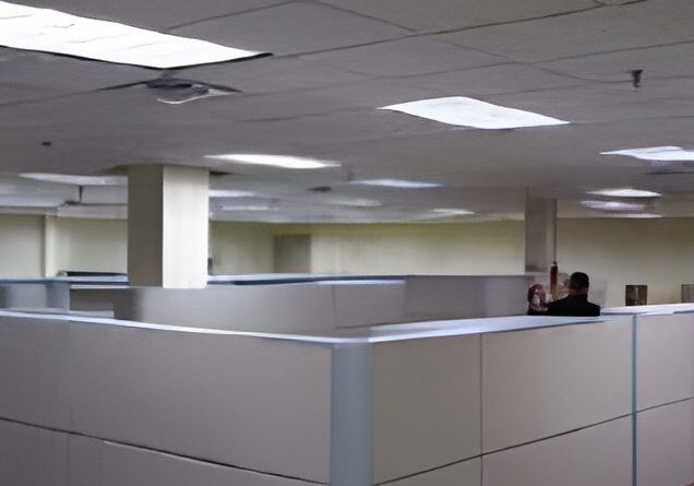 Office cubicles with fluorescent lighting overhead.